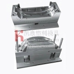 Auto bumper mould