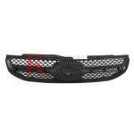 Auto grille mould