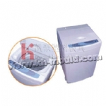 Washing machine mould 002